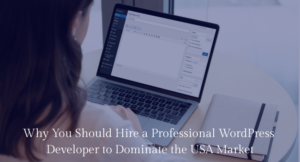 Why You Should Hire a Professional WordPress Developer to Dominate the USA Market 1 Blog